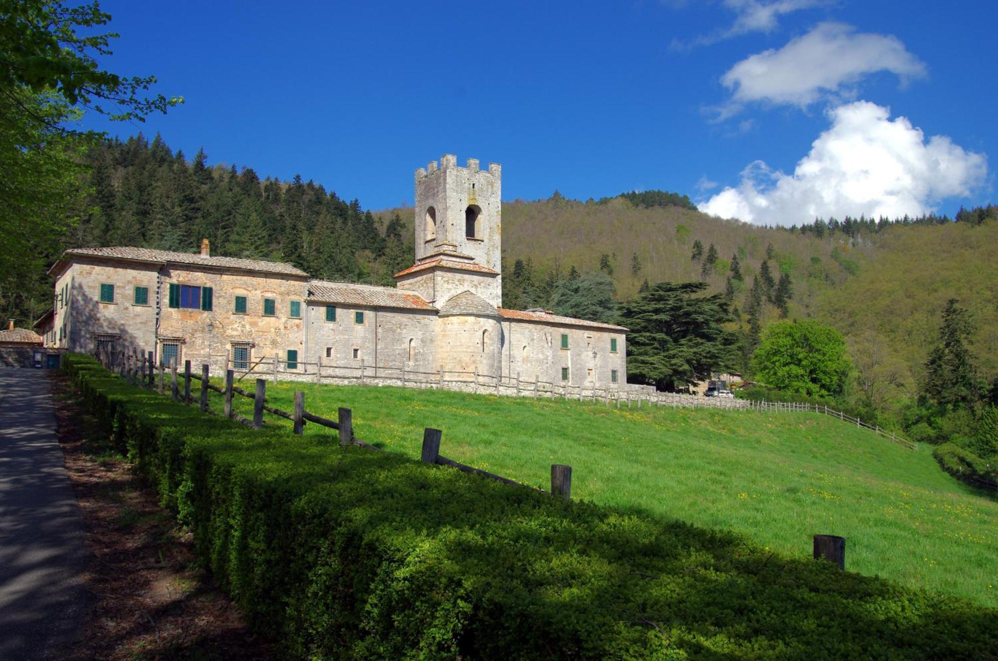 Badia A Coltibuono Wine *