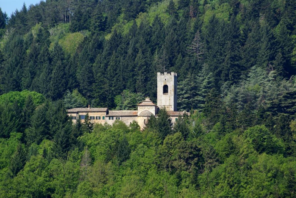 Badia A Coltibuono Wine Country house *
