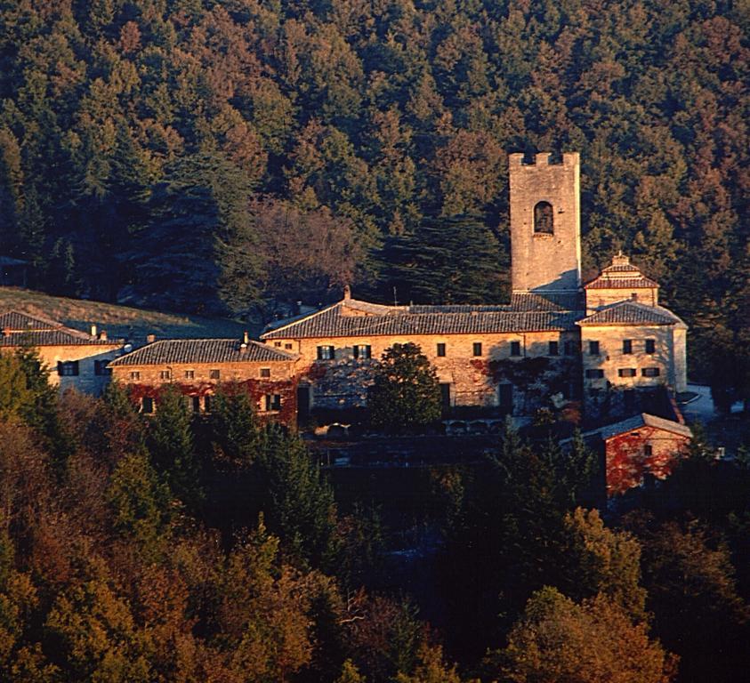 Badia A Coltibuono Wine * Gaiole in Chianti