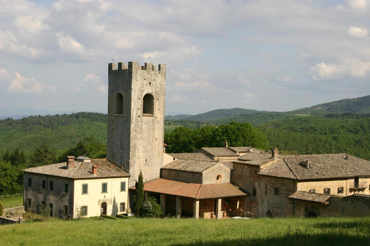 Badia A Coltibuono Wine *