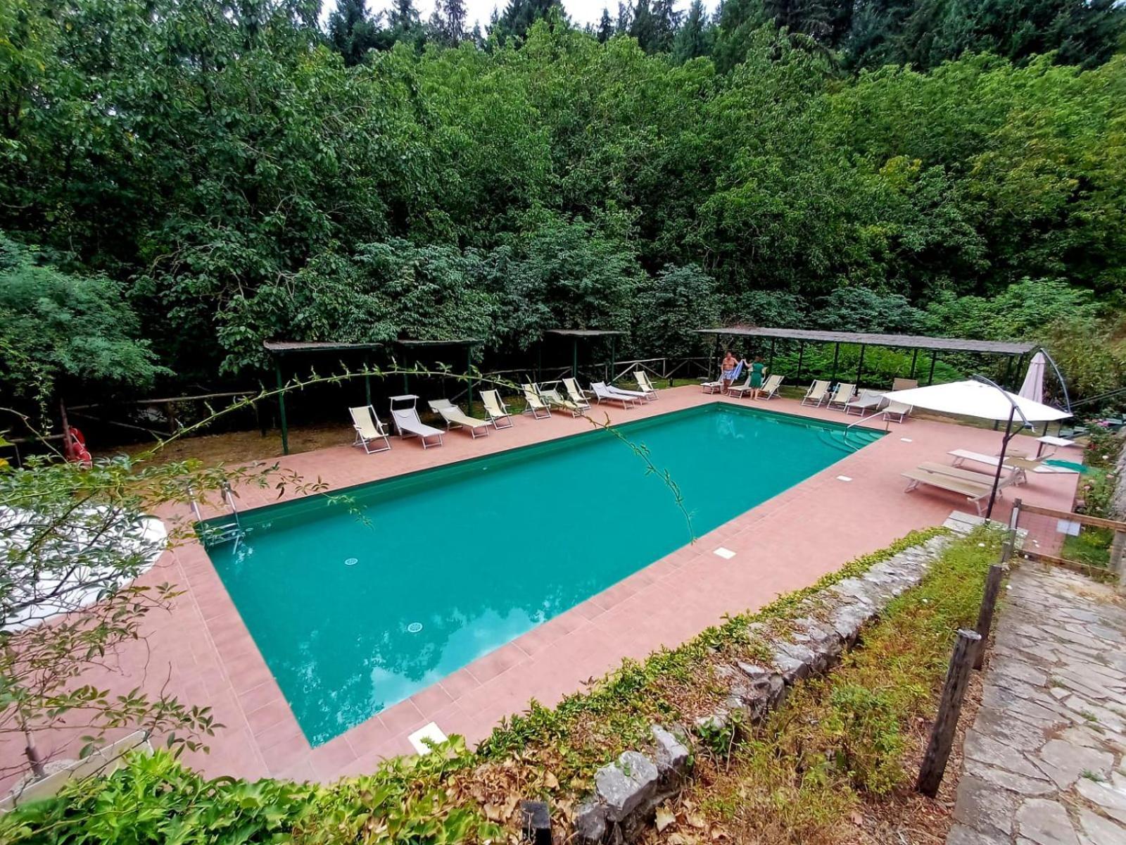 Badia A Coltibuono Wine * Gaiole in Chianti