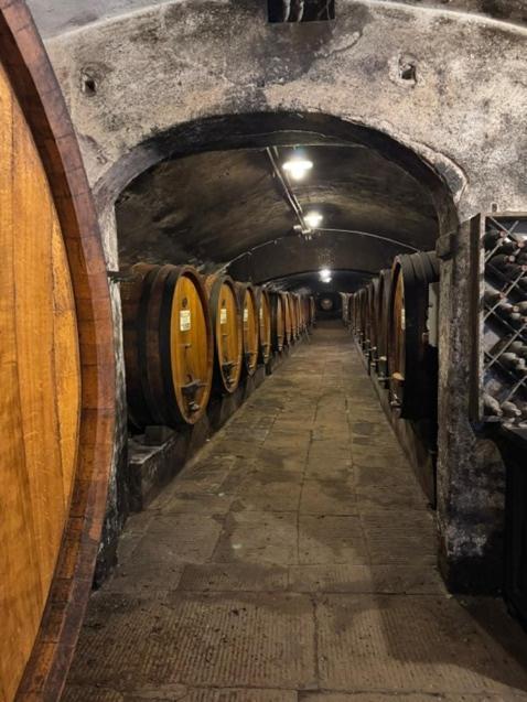 Badia A Coltibuono Wine *
